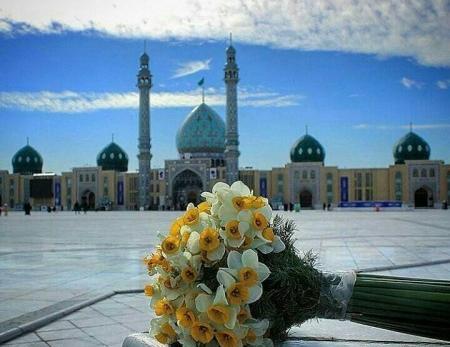 عکس گل نرگس واسه پروفایل