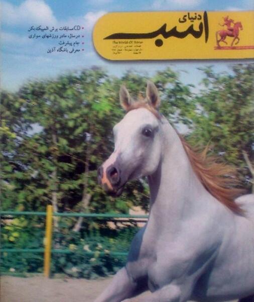 عکس نوشته اسب نفس بریده را طاقت تازیانه نیست