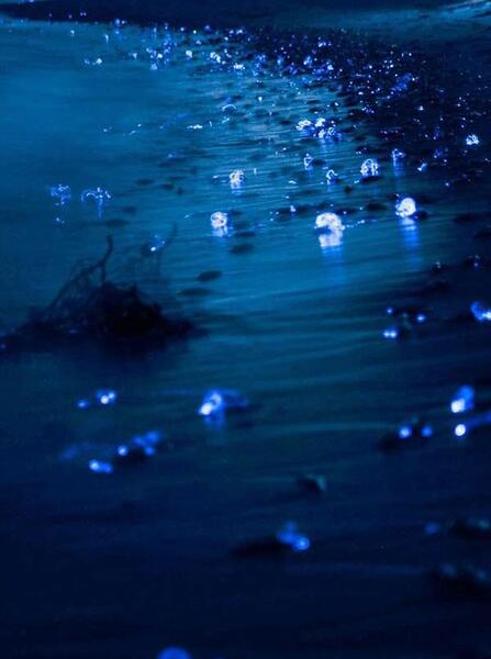 عکس لاکچری شب