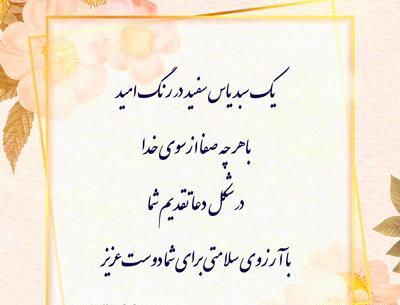 عکس ارزو سلامتی