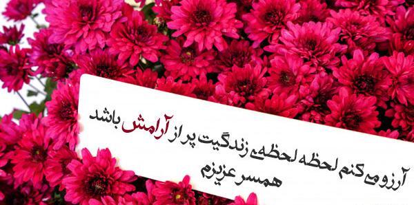 عکس ارزو سلامتی