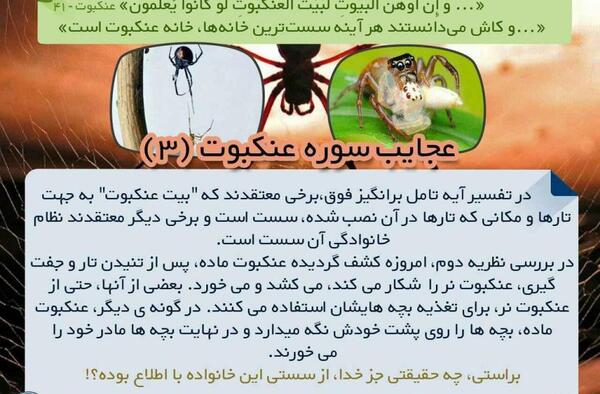 عکس عجایب قرآن
