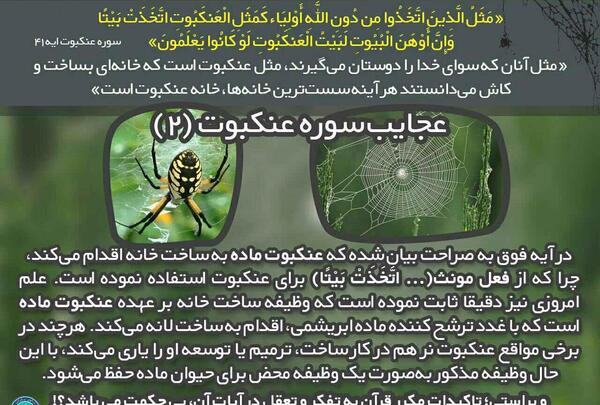عکس عجایب قرآن