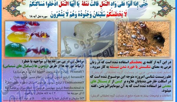 عکس عجایب قرآن