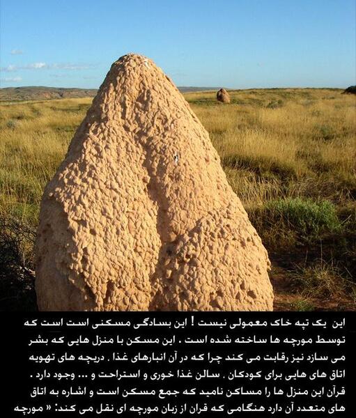 عکس عجایب قرآن