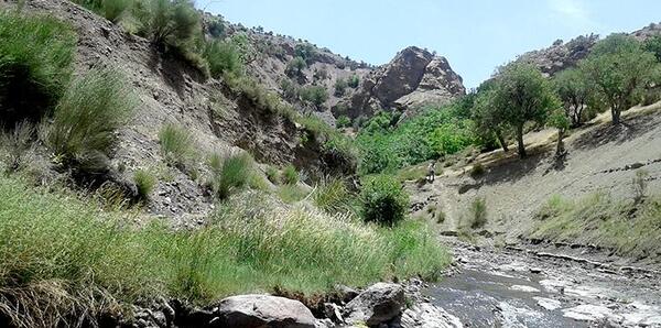 عکس از طبیعت کرمان