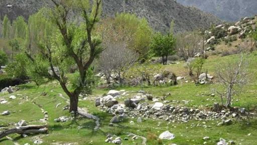 عکس از طبیعت کرمان