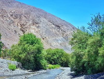 عکس از طبیعت کرمان