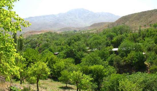 عکس از طبیعت کرمان