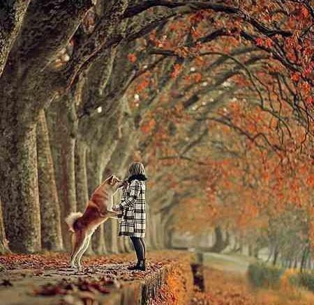 عکس عاشقانه پاییزی بدون متن