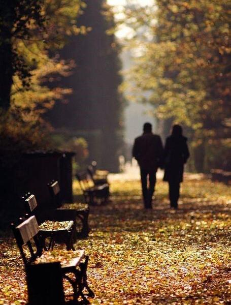 عکس عاشقانه پاییزی بدون متن