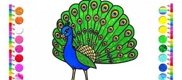 عکس طاووس ساده