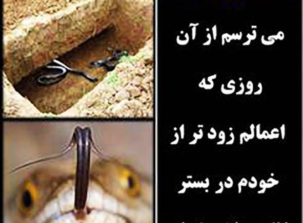 عکس خدایا لحظه ای مارا به حال خود وامگذار