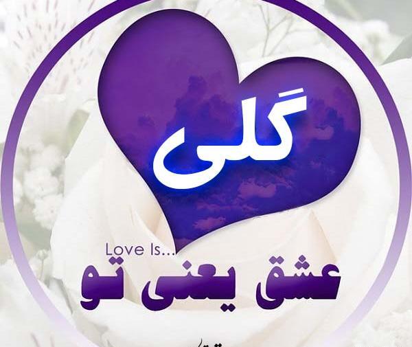 عکس نوشته ی گلی