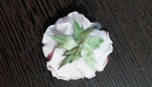 عکس تصاویر گل رز چینی