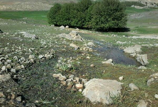 عکس طبیعت هرسین