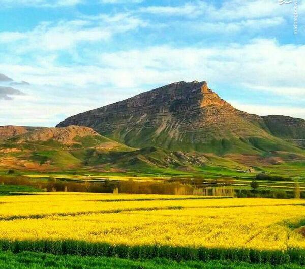عکس طبیعت هرسین