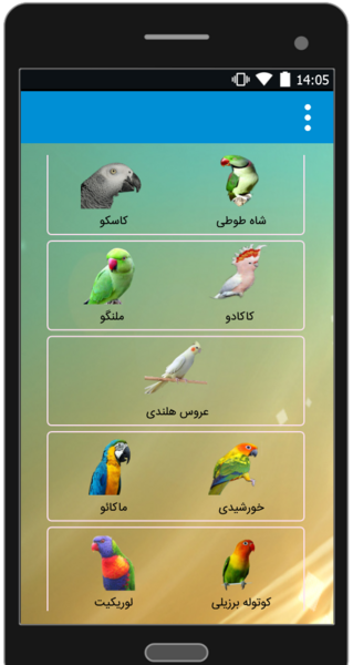 عکس شاه طوطی سخنگو