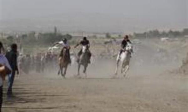 عکس اسب تیام لرستان