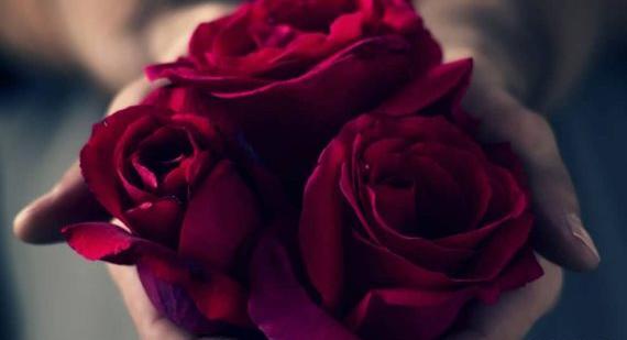 عکس گل
