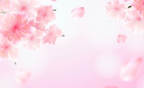 عکس های بک گراند بهاری