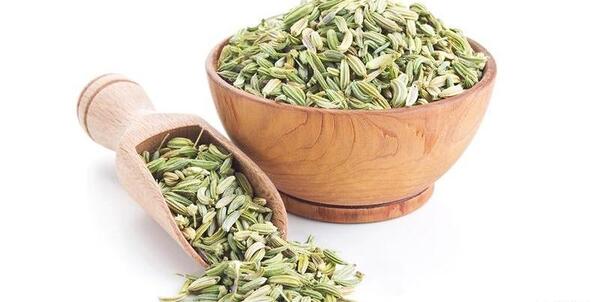 عکس سبزی رازیانه