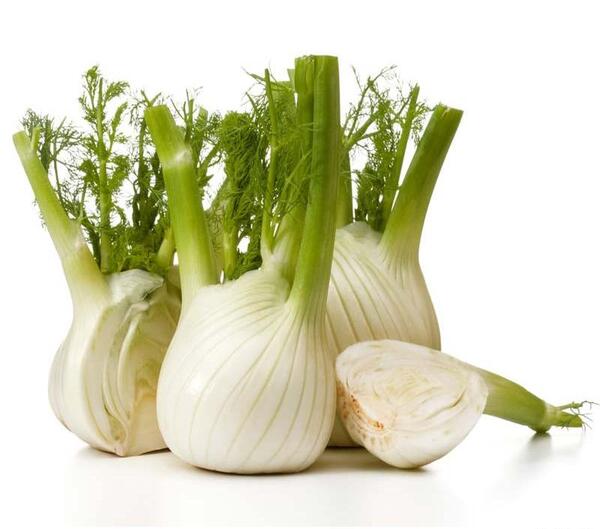 عکس سبزی رازیانه