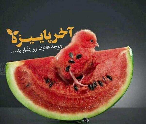 عکس یلداتون مبارک