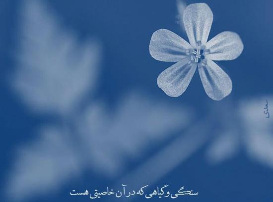 عکس نوشته قشنگ عرفانی
