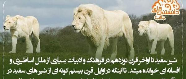 عکس های جالب روز