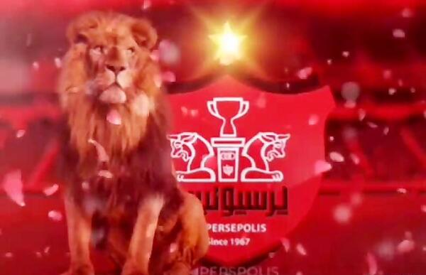 عکس یوز پلنگ پرسپولیس