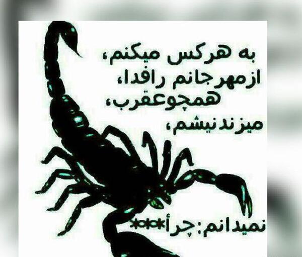 عکس ضرب المثل ذات بد
