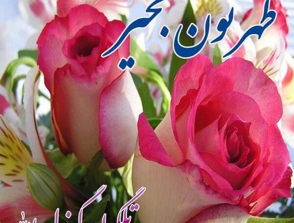 عکس گل ظهر بخیر