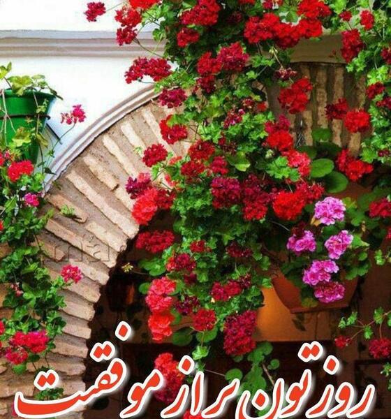 عکس گل ظهر بخیر