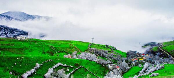عکس بهار گردنه حیران