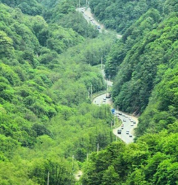 عکس بهار گردنه حیران