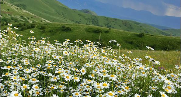 عکس بهار گردنه حیران