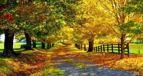 عکس زیبا از طبیعت چهار فصل
