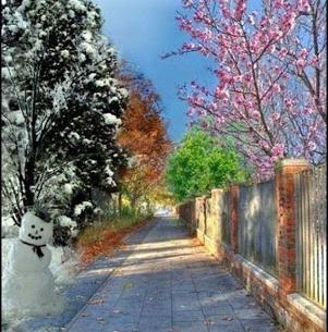 عکس زیبا از طبیعت چهار فصل