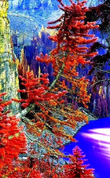 عکس زیبا از طبیعت چهار فصل