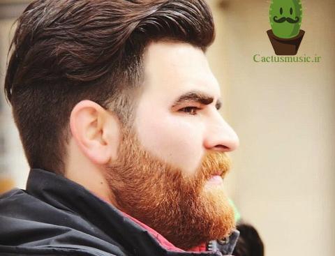 عکس احمد جاویدان