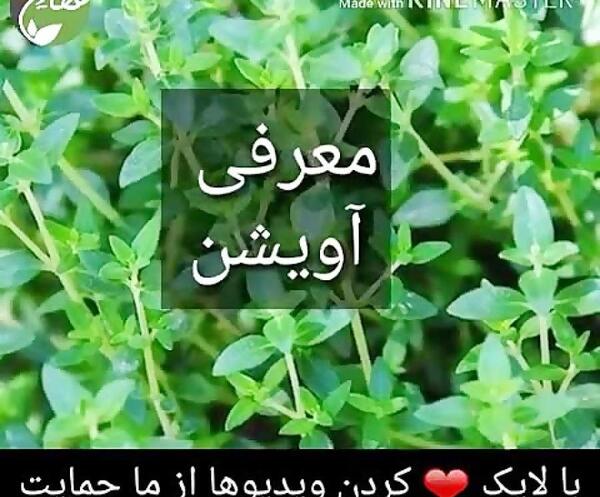 عکس نوشته آویشن