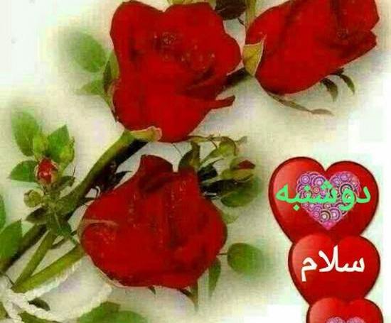 عکس ظهر بخیر دوشنبه