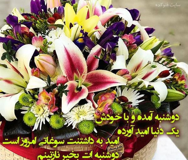عکس ظهر بخیر دوشنبه