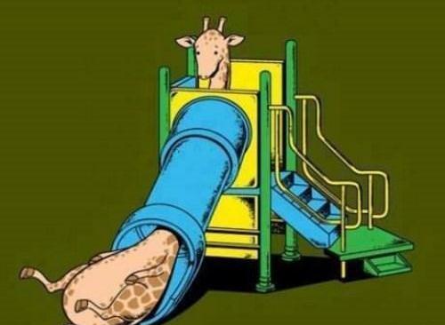 عکس های خنده دار زرافه