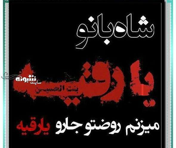 عکس رقیه زمانی