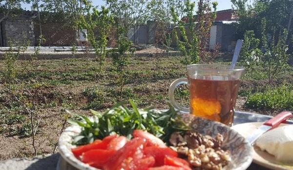 عکس طبیعت صبحانه