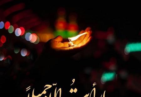عکس زینب علی