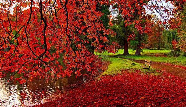 عکس زیبای طبیعت برای پروفایل