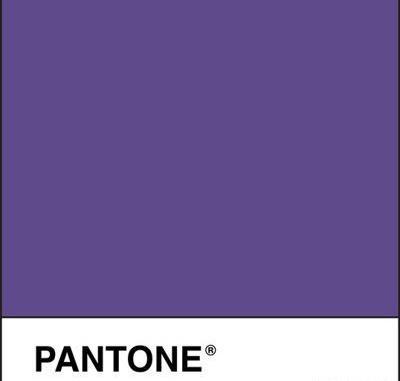 عکس ساده رنگ بنفش